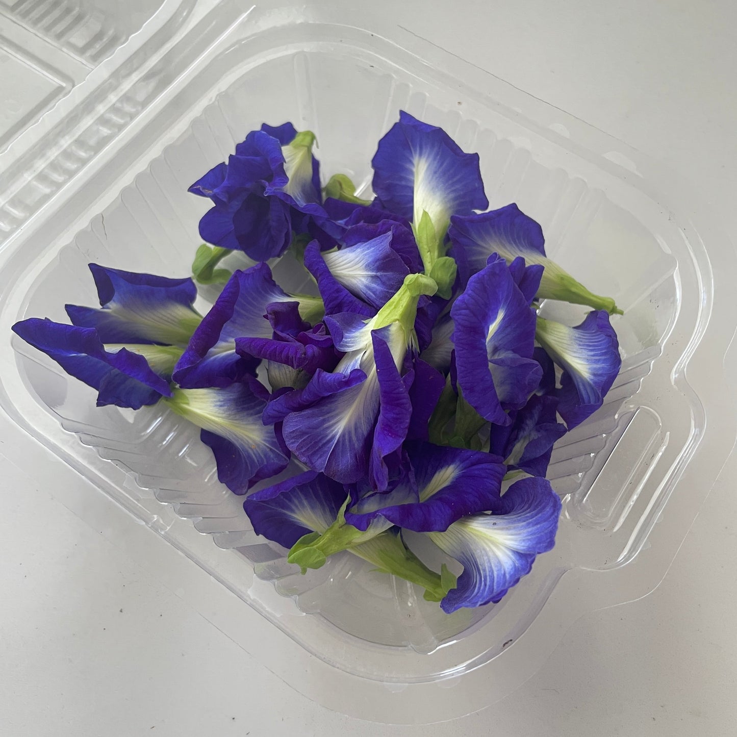Edible Flowers