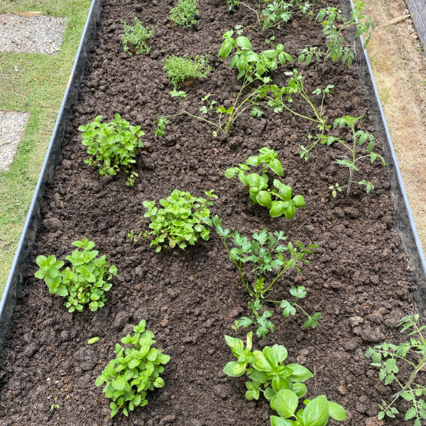 Raised Garden Bed