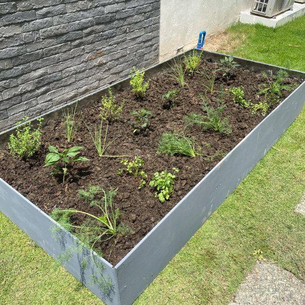 Raised Garden Bed