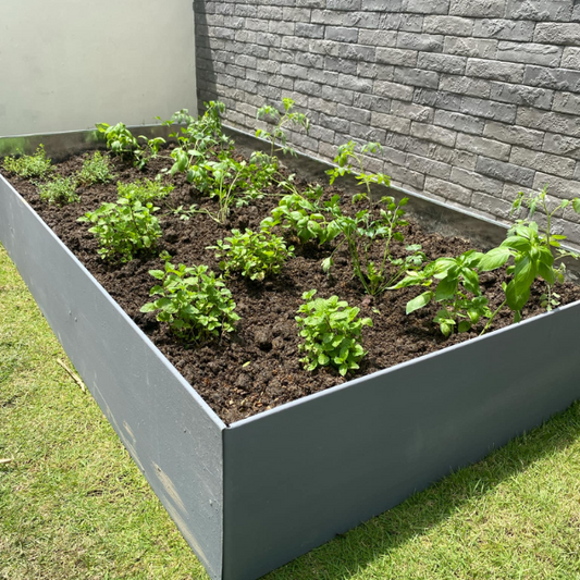 Raised Garden Bed