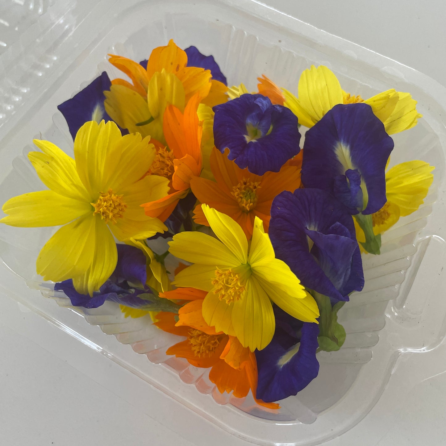 Edible Flowers